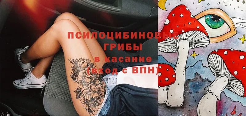 Галлюциногенные грибы Magic Shrooms  продажа наркотиков  кракен как зайти  Ханты-Мансийск 